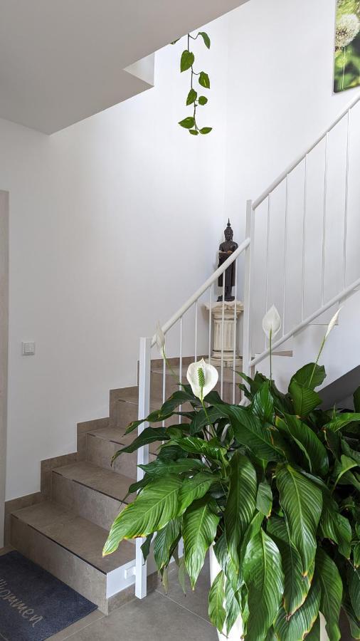 Gaestehaus Freystadt מראה חיצוני תמונה