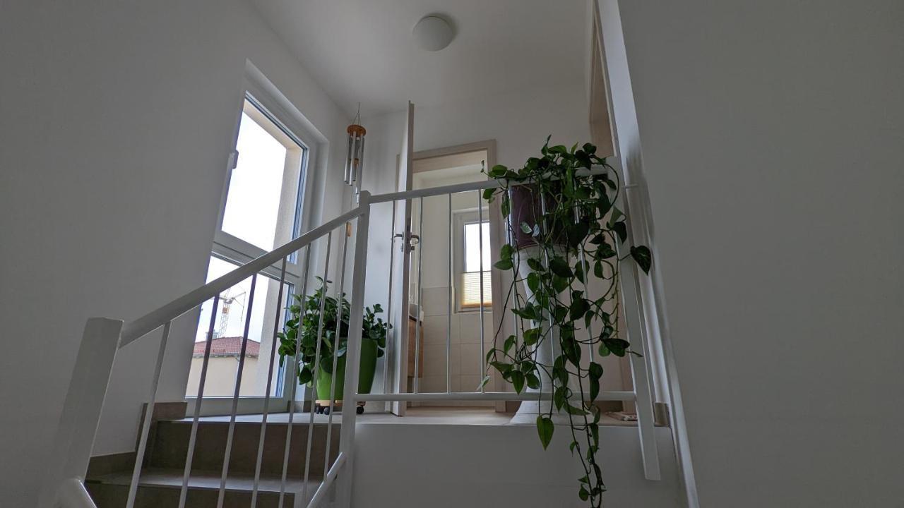 Gaestehaus Freystadt מראה חיצוני תמונה